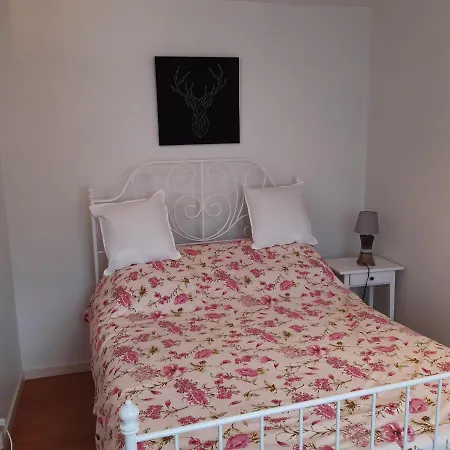 Apartment Le Phenix A Internet Debit & Parking