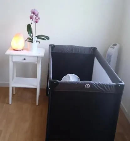 Le Phenix à Internet Débit&parking Appartamento Digione