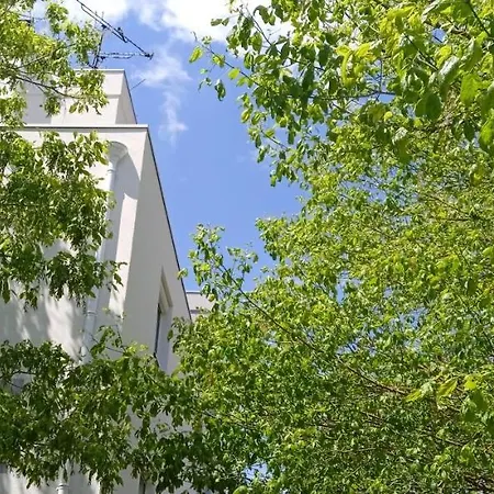 Le Phenix A Internet Debit & Parking Dijon