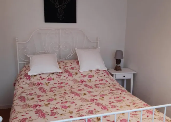 Le Phenix A Internet Debit & Parking ディジョン