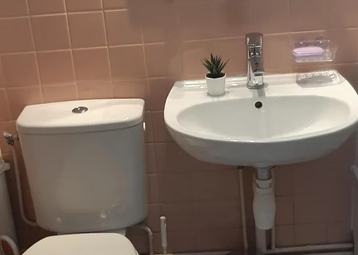 Le Phenix A Internet Debit & Parking アパート ディジョン