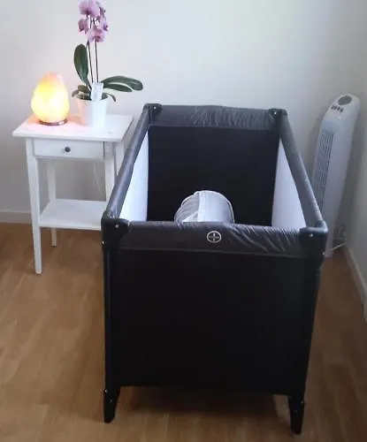 Le Phenix A Internet Debit & Parking * ディジョン